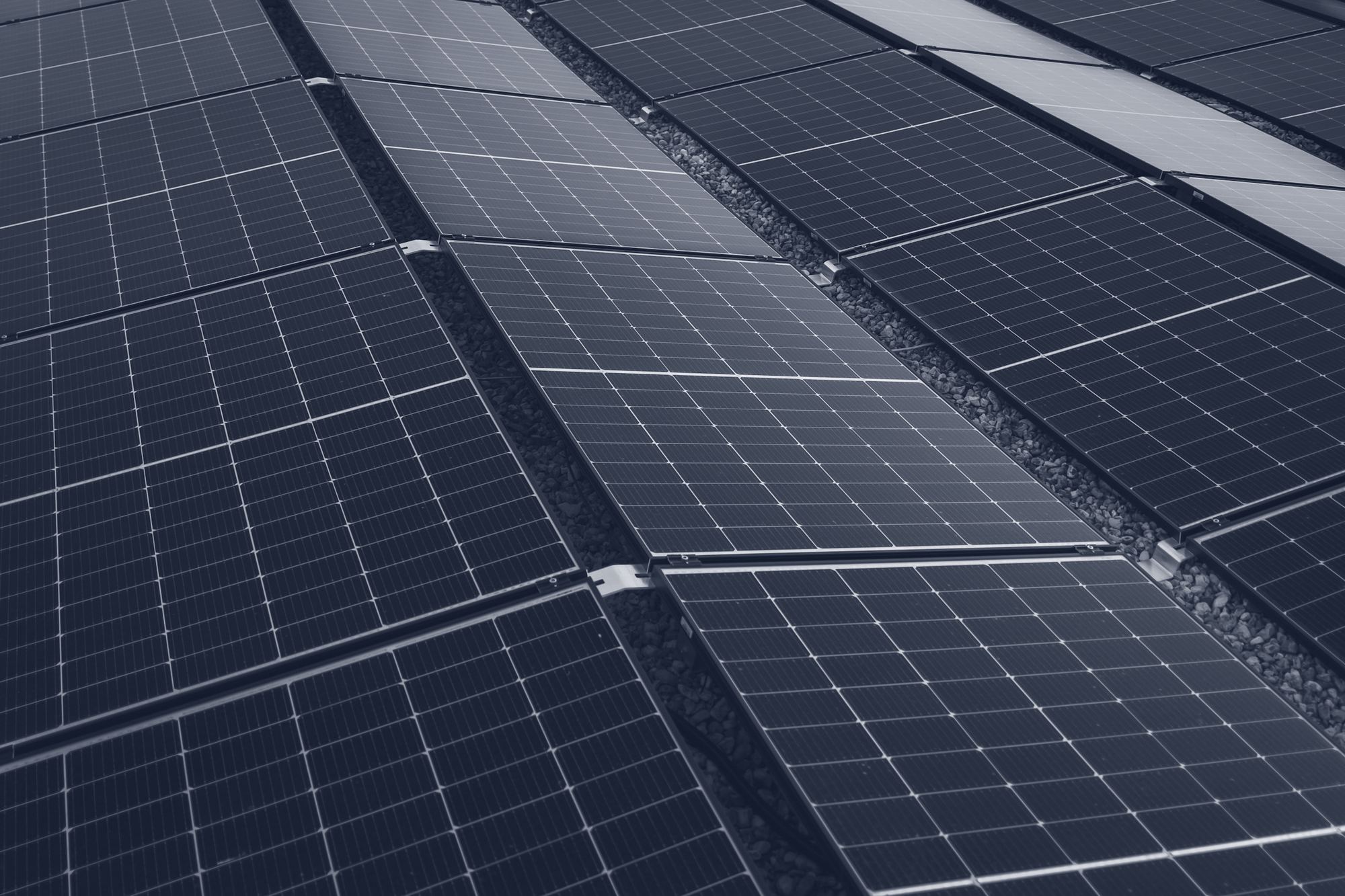Rows of solar panels on a roof